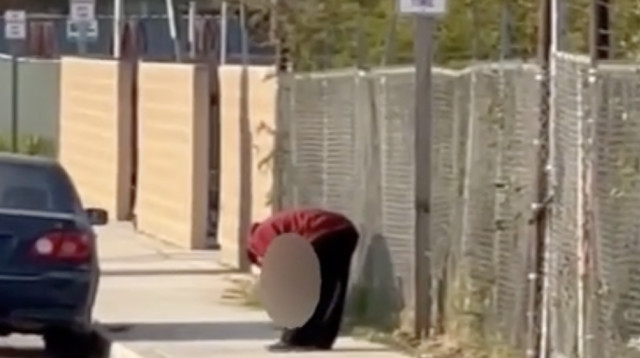 הצעיר והרגל (צילום: צילום מסך)