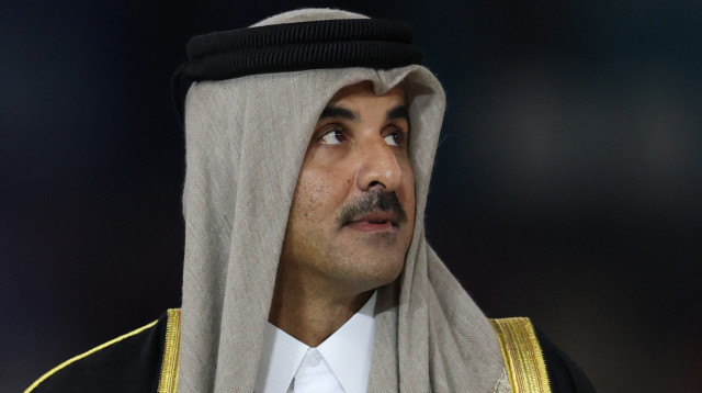 אמיר קטאר תמים בן חמד אאל ת'אני (צילום: רויטרס)