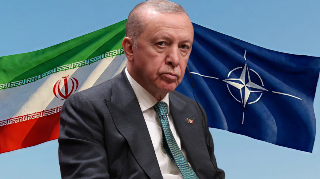 רג'פ טאיפ ארדואן (צילום: REUTERS/Umit Bektas)