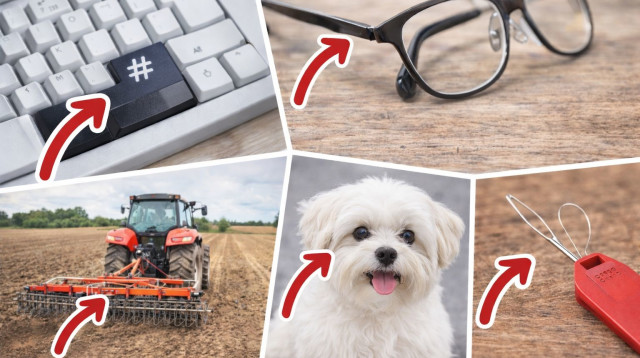 יודעים לזהות את הפריטים? (צילום: AI)