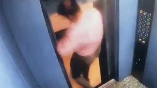 אסון המעלית (צילום: צילום מסך)