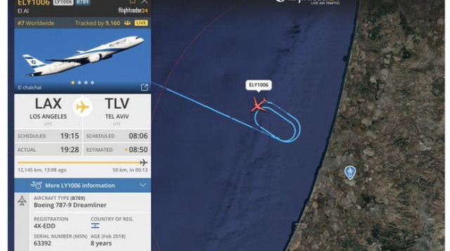 טיסת החילוץ של אל על (צילום: צילום מסך)