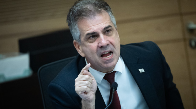 אלי כהן (צילום: יונתן זינדל פלאש 90)