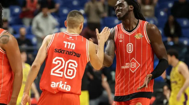  (צילום: לילך וייס רוזנברג)