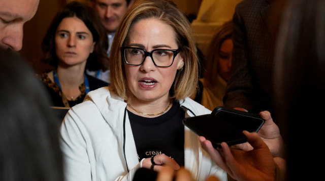 הסנאטורית לשעבר קירסטן סינמה (צילום: רויטרס)