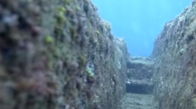 התגלית (צילום: צילום מסך)