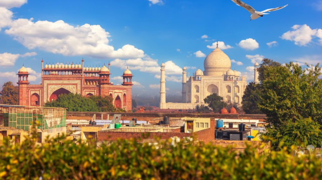 ויזה להודו וטופס הכניסה החדש - עדכונים לשנת 2026 (צילום: FREEPIK)