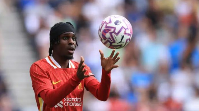  (צילום: GettyImages, Catherine Ivill - AMA)