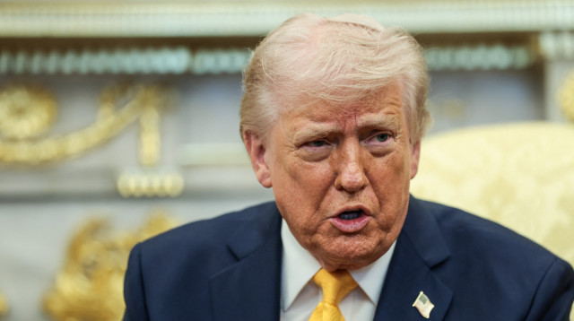 דונלד טראמפ (צילום: REUTERS/Evelyn Hockstein)