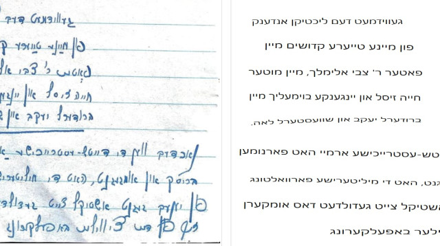 מסמכים ביידיש (צילום: יח"צ)