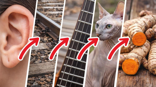 אתגר (צילום: AI)