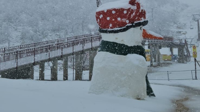 אתר החרמון בשלג  (צילום: אתר החרמון)