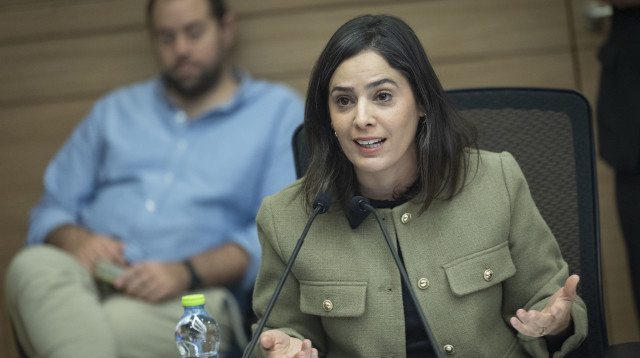 עדי עזוז (צילום: חיים גולדברג פלאש 90)