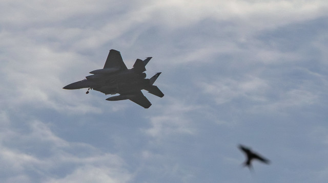 מטוס F-15 (צילום: נתי שוחט, פלאש 90)