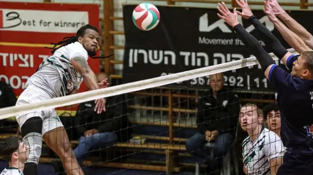  (צילום: לילך וייס רוזנברג)