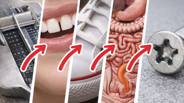 אתגר (צילום: AI)