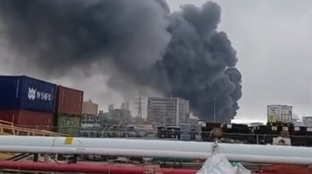 הפגיעה בנאות חובב (צילום: צילום מסך)