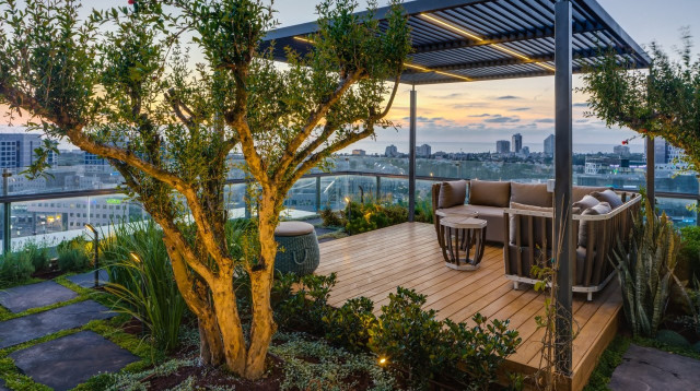 מרפסת, כרכום עיצוב נוף   (צילום: ליאור טייטלר)