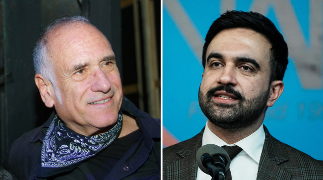 זוהרן ממדאני, דיויד ברוזה (צילום: רויטרס,משה שי, פלאש 90)