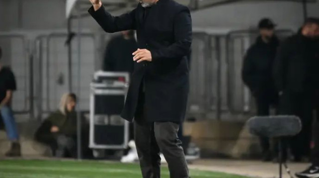  (צילום: ברני ארדוב)