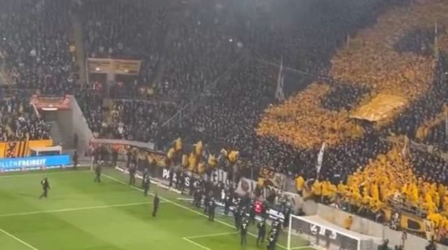 מהומת ענק בגרמניה (צילום: צילום מסך)