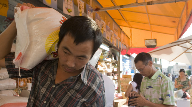 עובדים זרים מסין (צילום: מתניה טאוסיג, פלאש 90)
