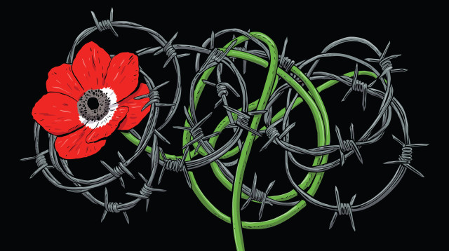 עד שישוב טלה (צילום: אורי פינק)