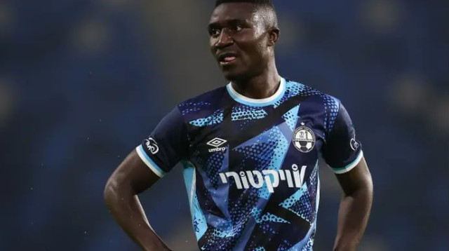 קינגס קאנגווה (צילום: מאור אלקסלסי)