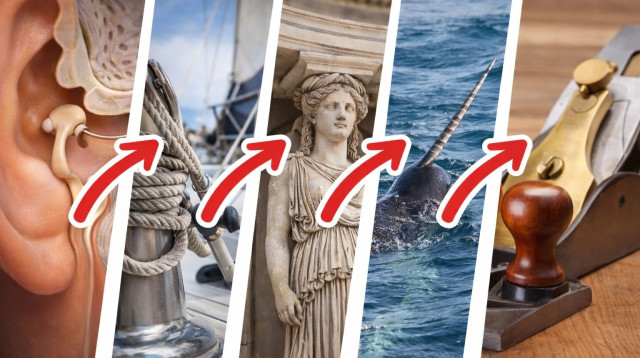 אתגר (צילום: AI)