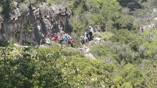 פארק הכרמל. השבת שאחרי המלחמה  (צילום: אייל כהן רשות הטבע והגנים)