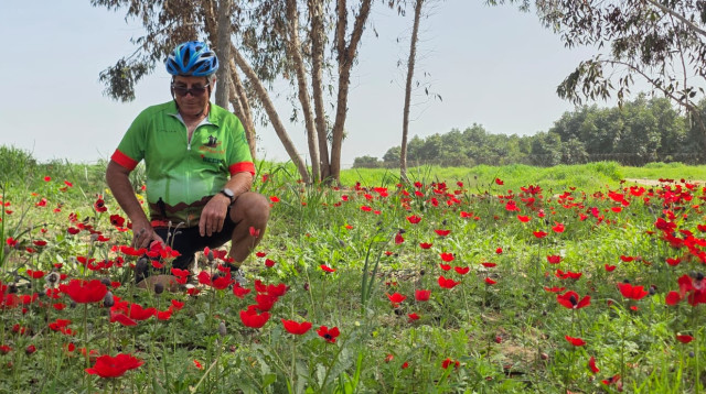 ארז לה מדווש (צילום: פרטי)