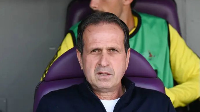 רוני לוי (צילום: ברני ארדוב)