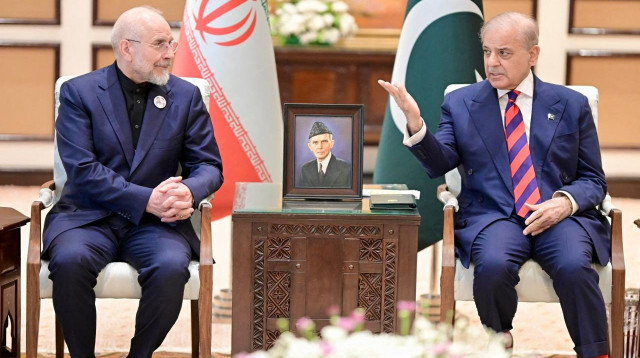 ראש ממשלת פקיסטן שהבז שריף ודובר הפלרמנט האיראני מוחמד קליבאף (צילום: רויטרס)