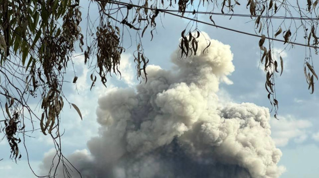 תקיפות בנבטיה (צילום: רשתות ערביות, שימוש לפי סעיף 27 א')