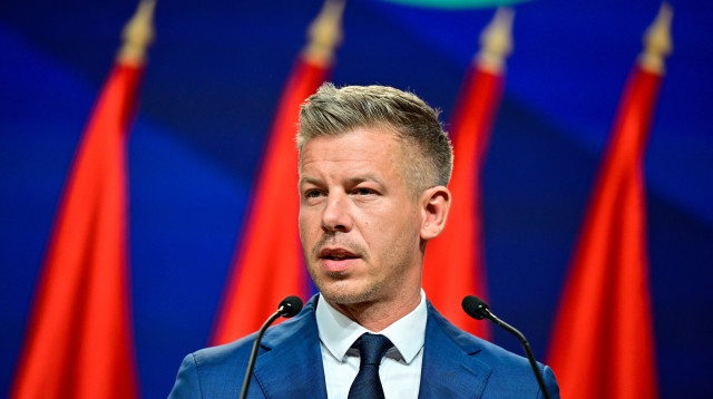 פטר מדיאר (צילום: REUTERS/Marton Monus)