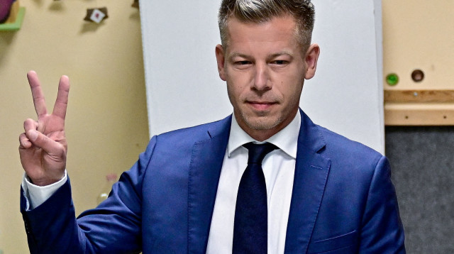 פטר מדיאר (צילום: רויטרס)