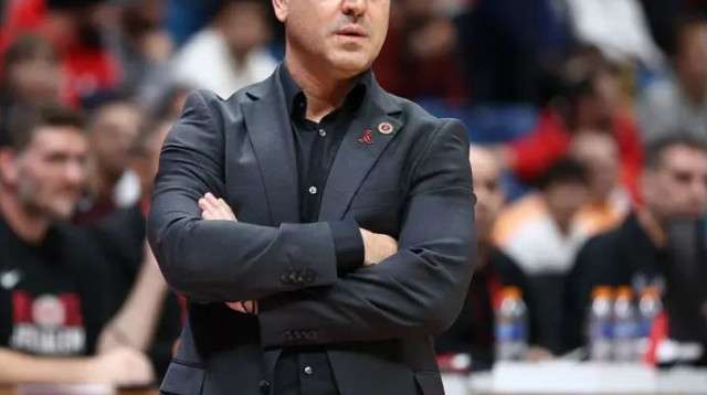 יש עוד עבודה בגזרת לאמב. אלון (צילום: דני מרון)