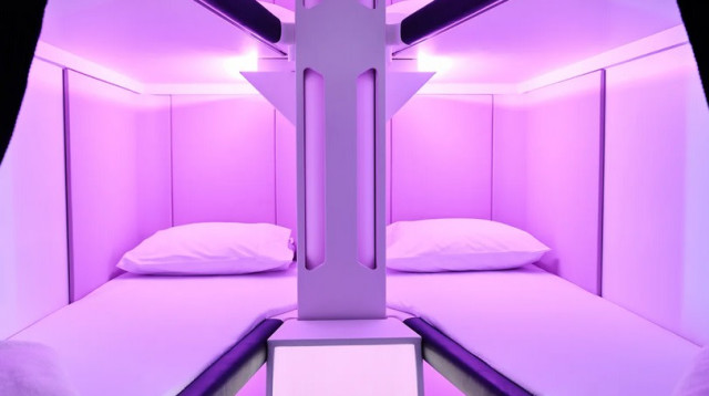 שירות חדש במחלקת עסקים  (צילום: אייר ניו זילנד)