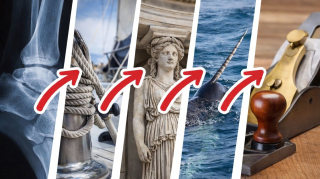 אתגר (צילום: AI)