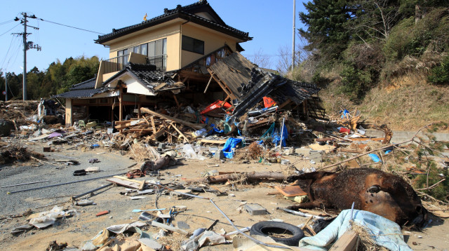 רעידת אדמה ביפן (ארכיון) (צילום: שאטרסטוק)