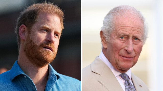 המלך צ'ארלס, הנסיך הארי (צילום: Asanka Ratnayake/Getty Images, Ian Vogler - Pool / Getty Images)