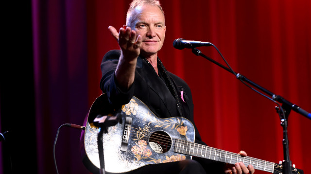 סטינג (צילום: Noam Galai/Getty Images for Breast Cancer Research Foundation)