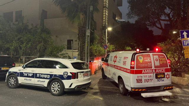 אמבולנס, ניידת משטרה (צילום: תיעוד מבצעי מד"א)