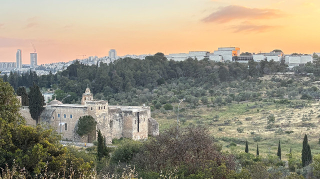 עמק המצלבה (צילום: גורה ברגר)