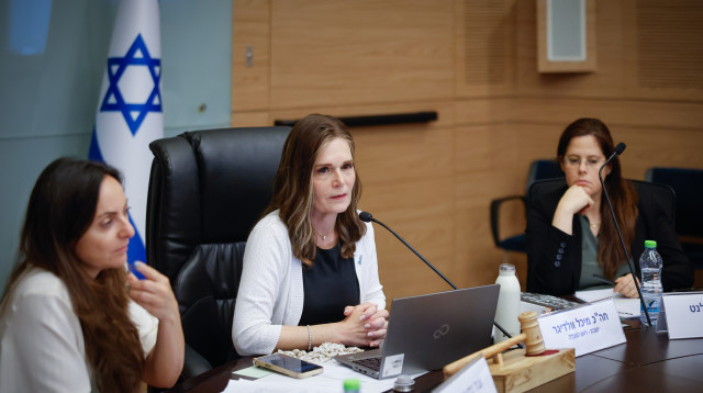 ח"כ מיכל וולדיגר, יו"ר ועדת העבודה והרווחה של הכנסת (צילום: דוברות הכנסת, נועם מושקוביץ, דני שם-טוב)