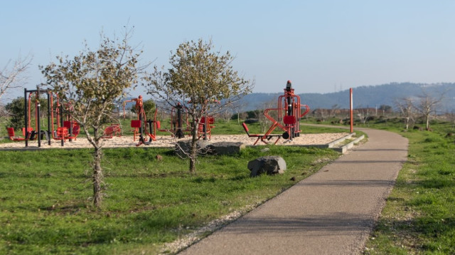 שביל הדו קיום (צילום: דרור ארצי)