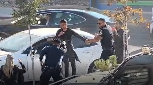 מעצר גנב הרכב הקטין (צילום: צילום מסך רשתות חברתיות לפי חוק 27א לזכויות יוצרים)