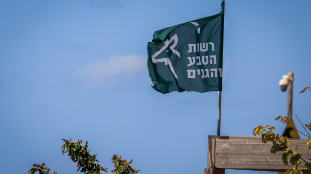 רשות הטבע והגנים. אחראית על ניטור המחלות בבעלי חיים (צילום: Nati Shohat/Flash90)
