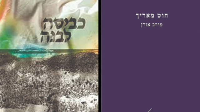 חוט מאריך, כביסה לבנה - כריכת הספרים (צילום: כריכת הספר)