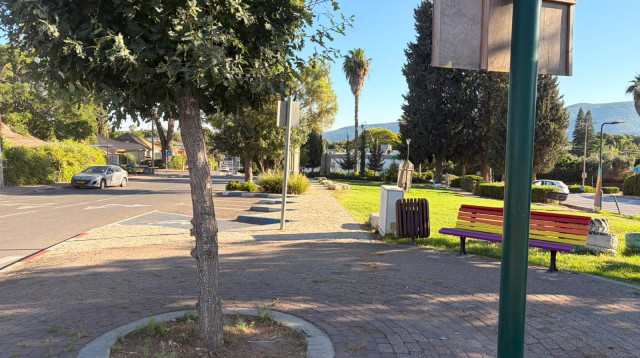 קריית טבעון  (צילום: בתיה גלעדי)